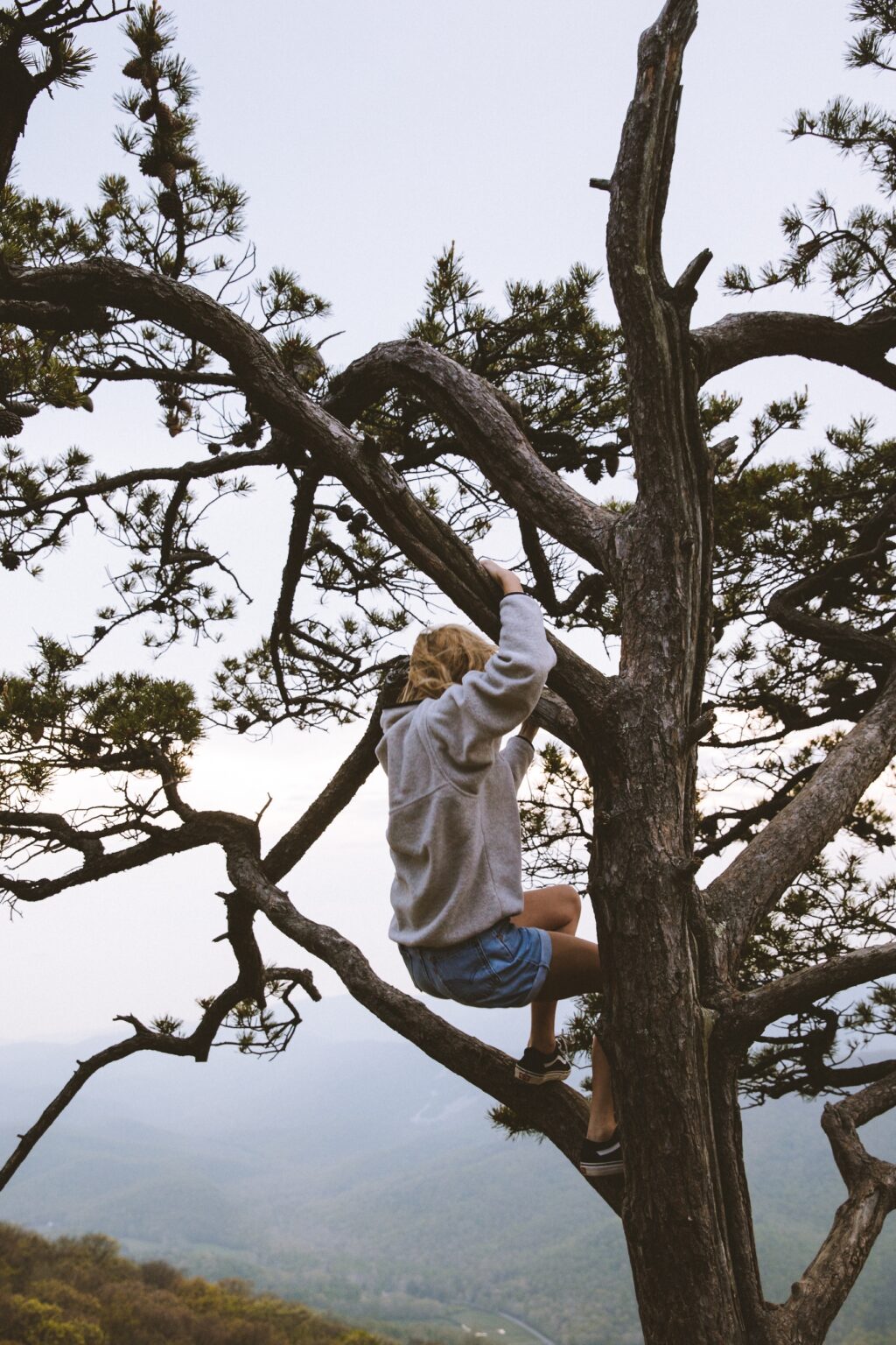 Person in tree exploring trying new things climbing hopeful