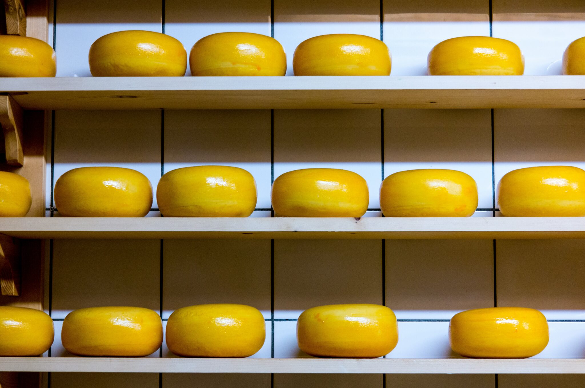 Cheese in a pantry