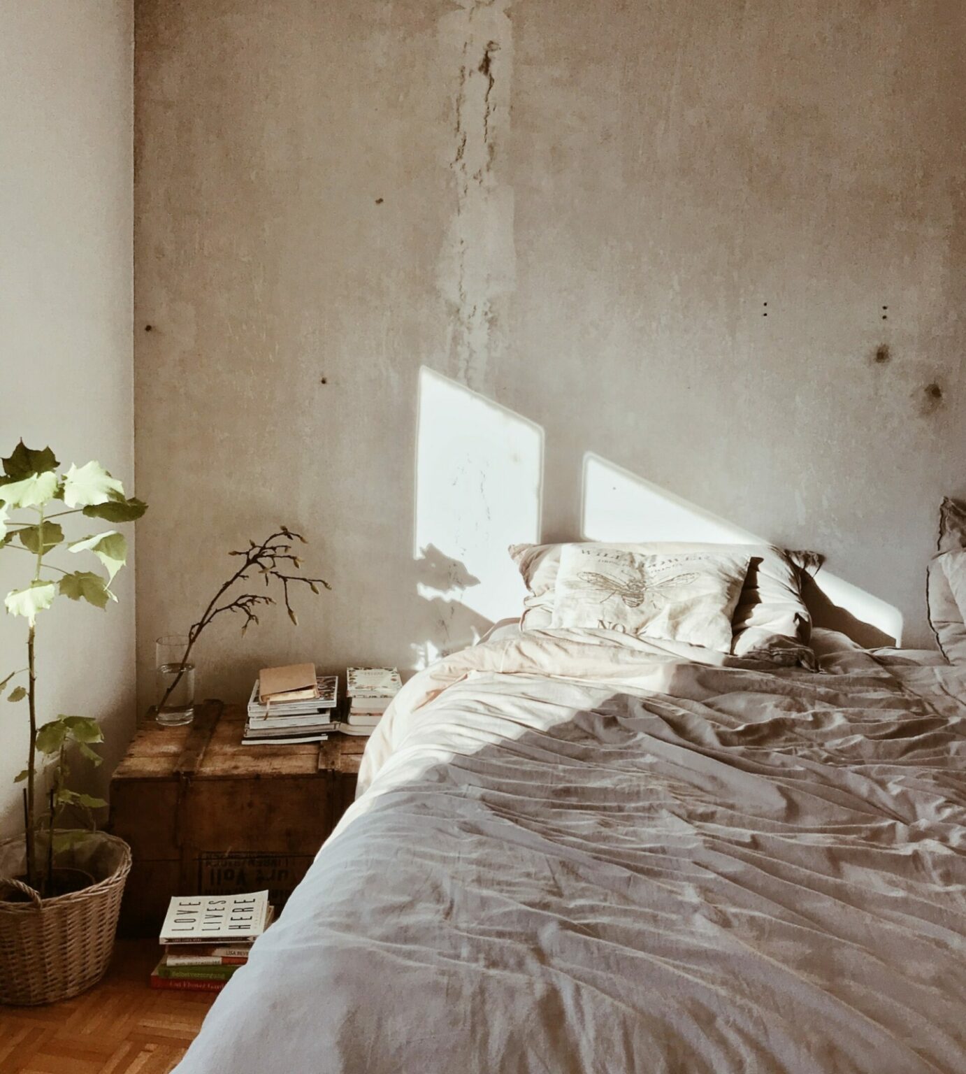 Bed in the sunlight with plant