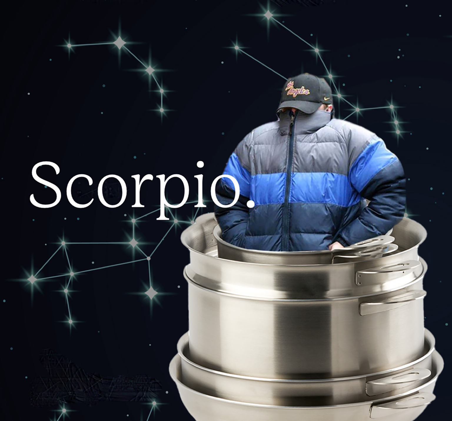 leonardo dicaprio stackware full6 ENSEMBL high-performance cookware zodiac horoscope