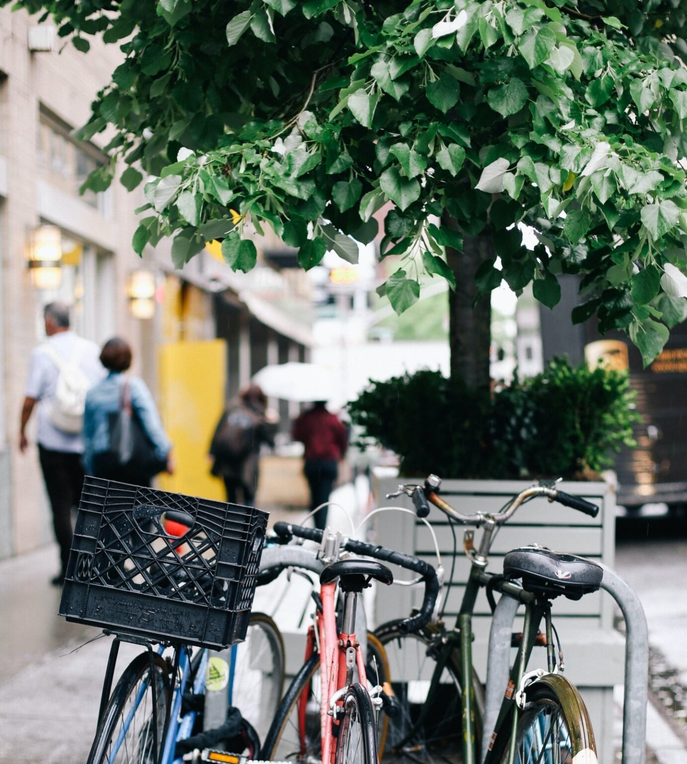 urban cycling bikes locked to city post
