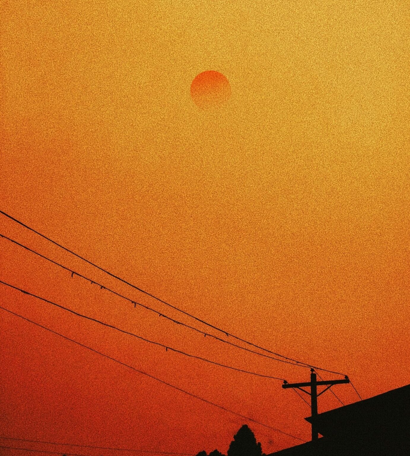 telephone pole and fiery red sunset