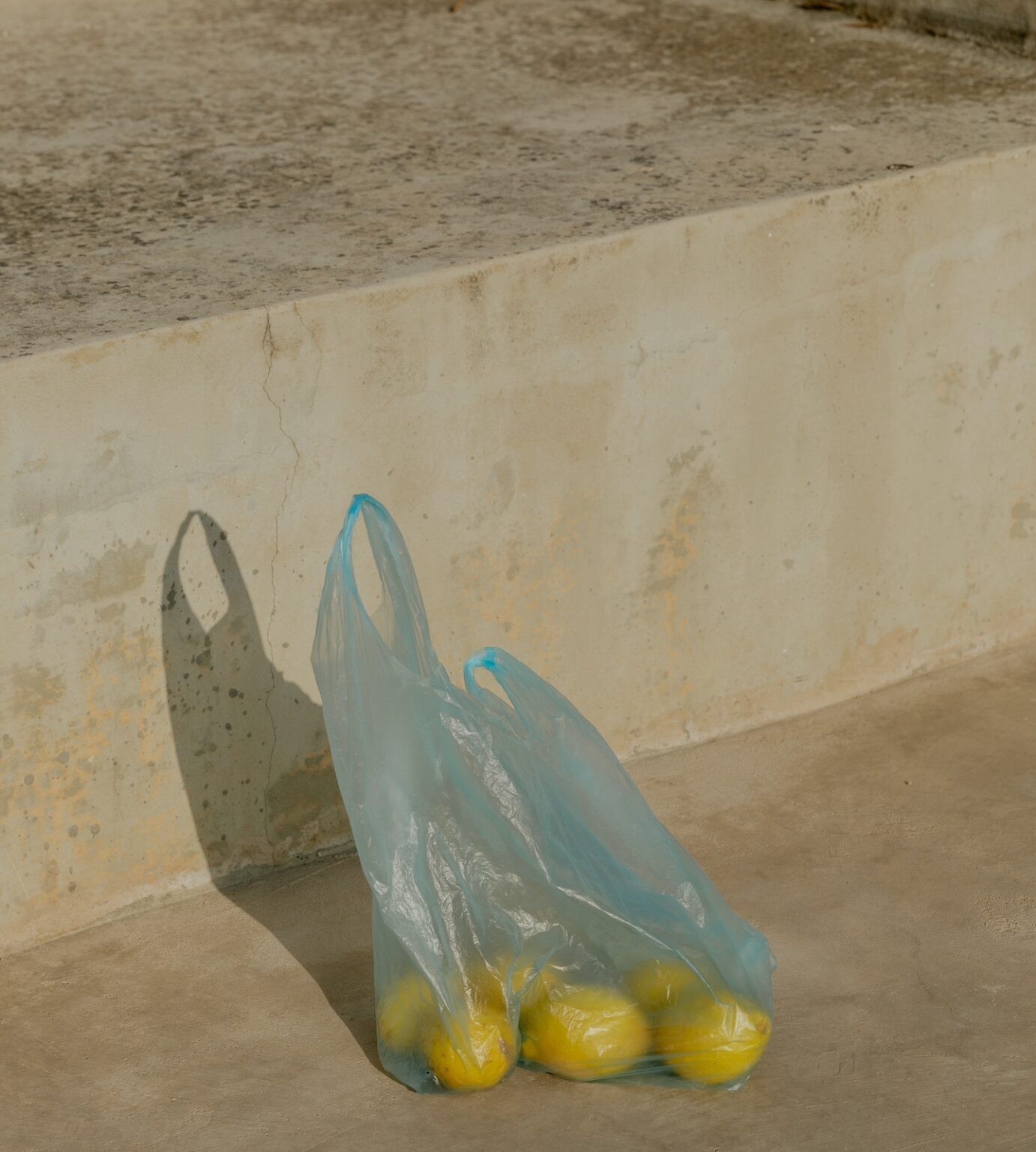 Lemons wasted in plastic bag