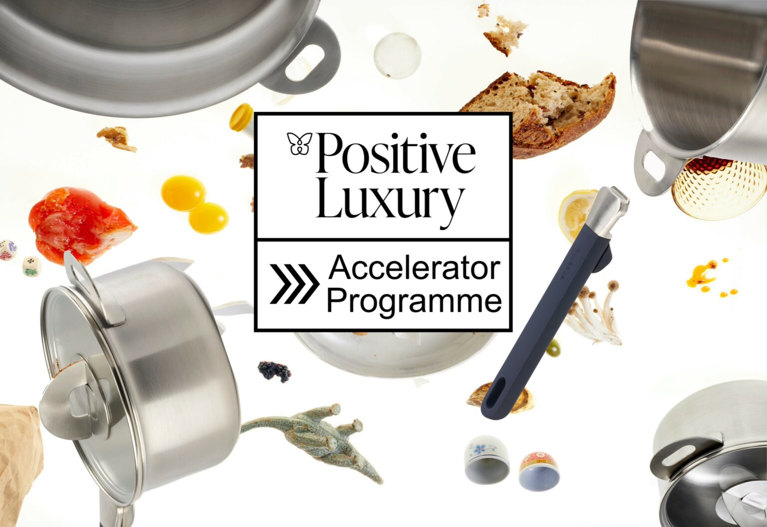 ENSEMBL Positive Luxury Accelerator Program
